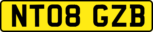 NT08GZB