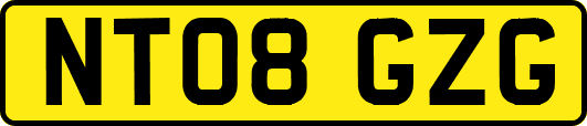 NT08GZG