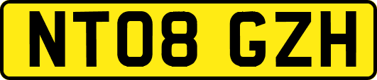 NT08GZH
