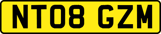 NT08GZM