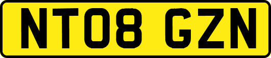 NT08GZN