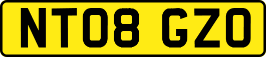 NT08GZO