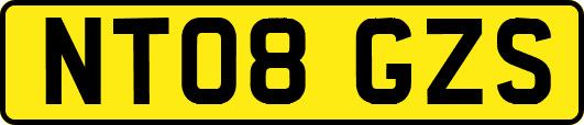 NT08GZS