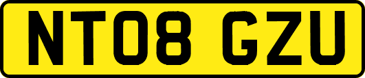 NT08GZU