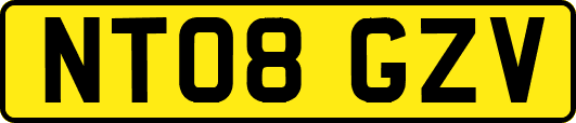 NT08GZV