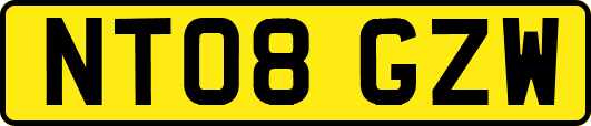 NT08GZW