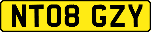NT08GZY