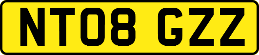 NT08GZZ