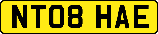 NT08HAE