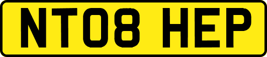 NT08HEP