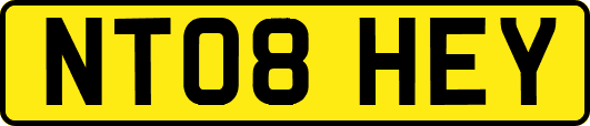 NT08HEY