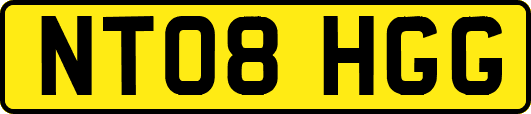 NT08HGG
