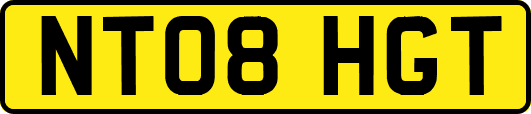 NT08HGT