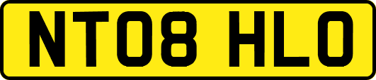 NT08HLO