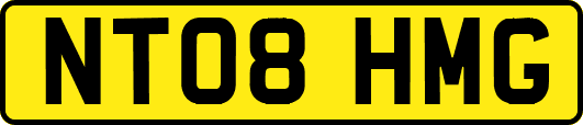 NT08HMG