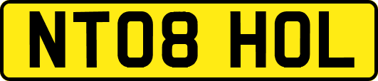 NT08HOL