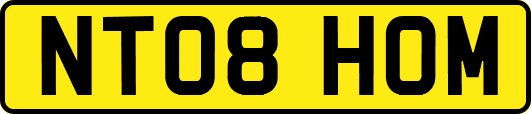 NT08HOM
