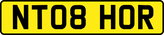 NT08HOR