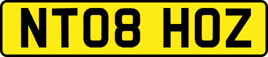 NT08HOZ