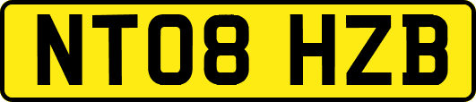 NT08HZB