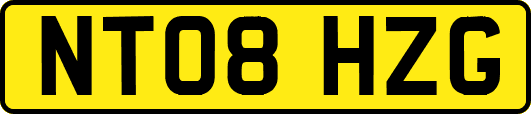 NT08HZG