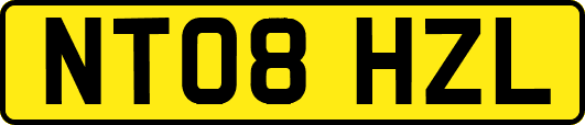NT08HZL