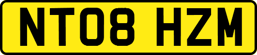 NT08HZM