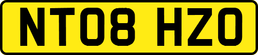 NT08HZO