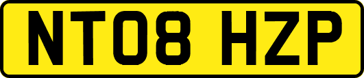 NT08HZP