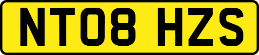 NT08HZS