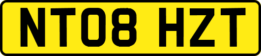 NT08HZT