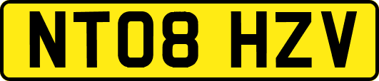NT08HZV