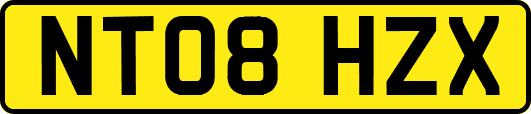 NT08HZX