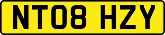 NT08HZY