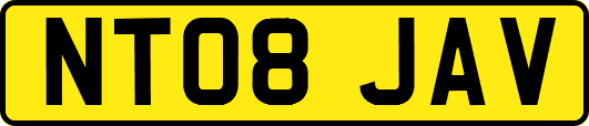 NT08JAV