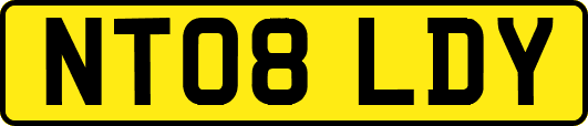 NT08LDY