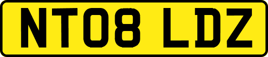 NT08LDZ
