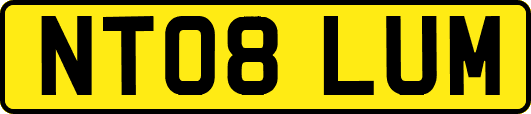 NT08LUM