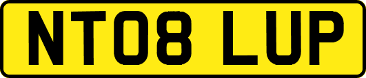 NT08LUP