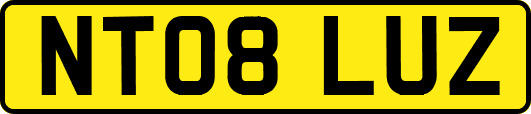NT08LUZ