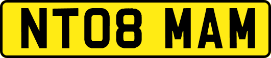 NT08MAM