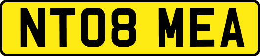 NT08MEA