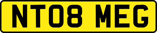 NT08MEG