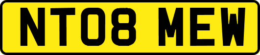NT08MEW