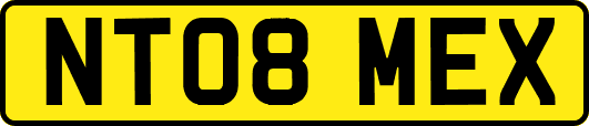 NT08MEX
