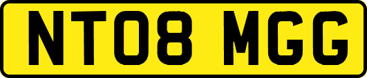 NT08MGG