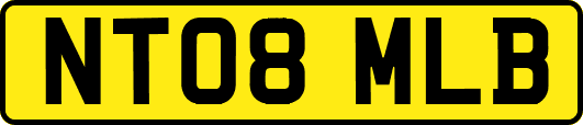 NT08MLB