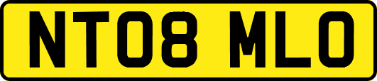 NT08MLO