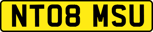 NT08MSU