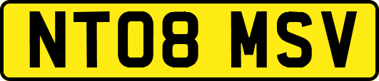 NT08MSV